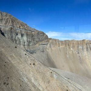 Meet your Posher, Blake